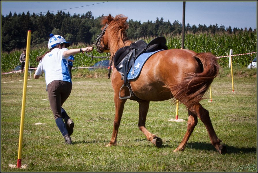 Mounted Games 057